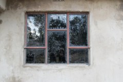 IMG_1784